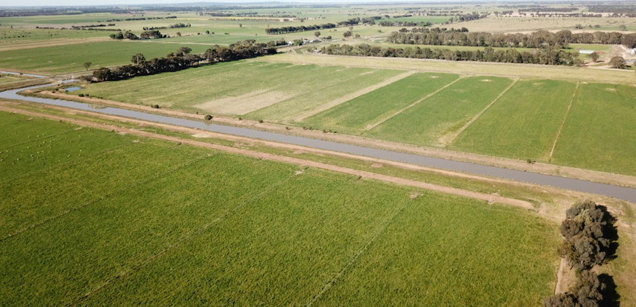 982 Calivil Mail Road, Calivil, VIC, 3573 - Image 8