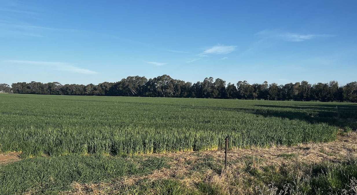 982 Calivil Mail Road, Calivil, VIC, 3573 - Image 28