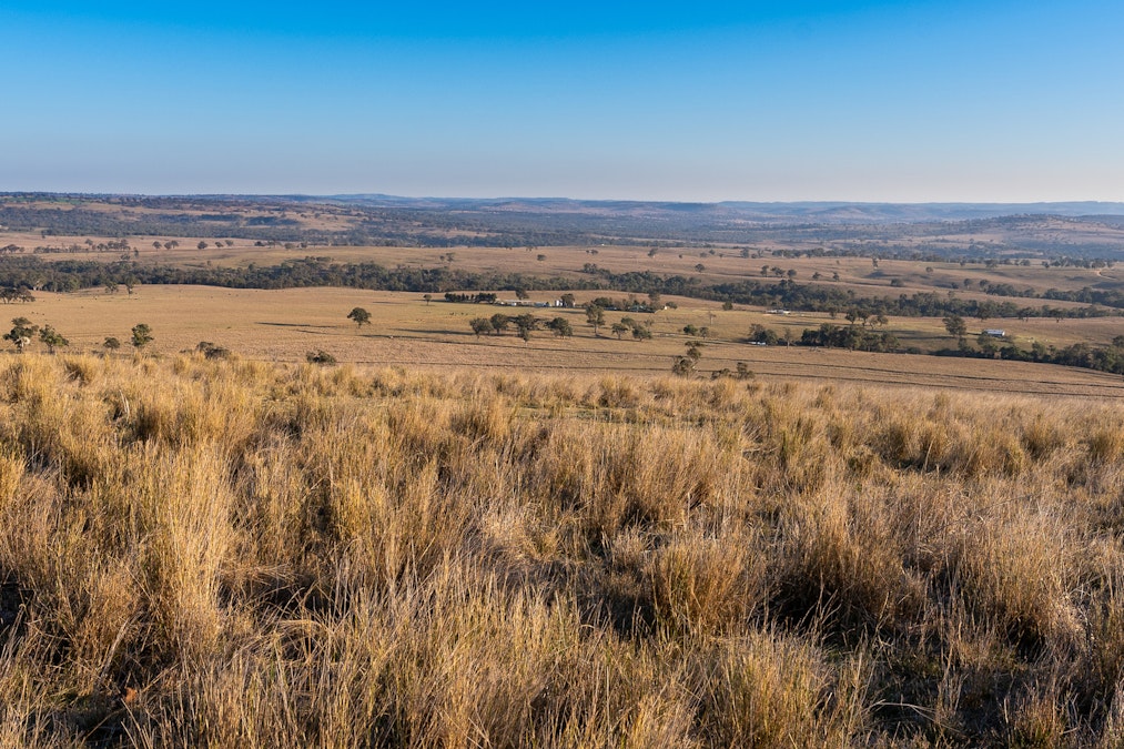 ‘Summer Hill & Rosedale’ Aggregation, Summerhill Road, Cassilis, NSW, 2329 - Image 4