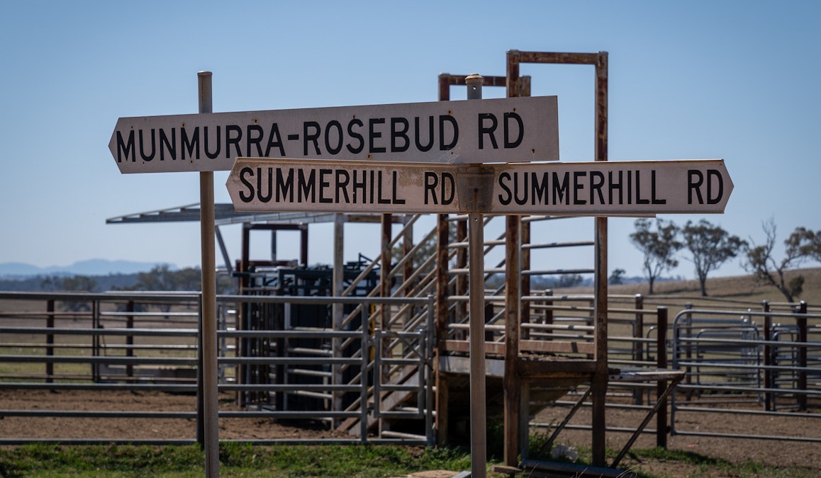 ‘Summer Hill & Rosedale’ Aggregation, Summerhill Road, Cassilis, NSW, 2329 - Image 24