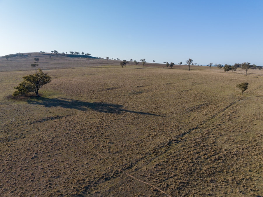 ‘Summer Hill & Rosedale’ Aggregation, Summerhill Road, Cassilis, NSW, 2329 - Image 20
