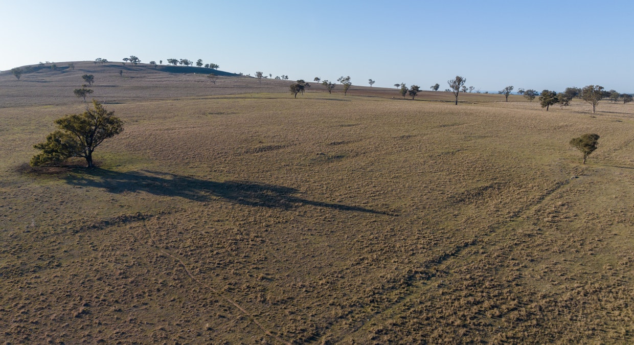 ‘Summer Hill & Rosedale’ Aggregation, Summerhill Road, Cassilis, NSW, 2329 - Image 20