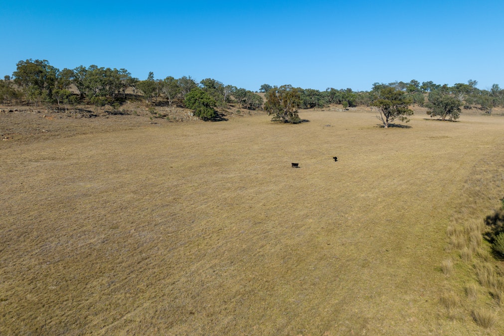 ‘Summer Hill & Rosedale’ Aggregation, Summerhill Road, Cassilis, NSW, 2329 - Image 28
