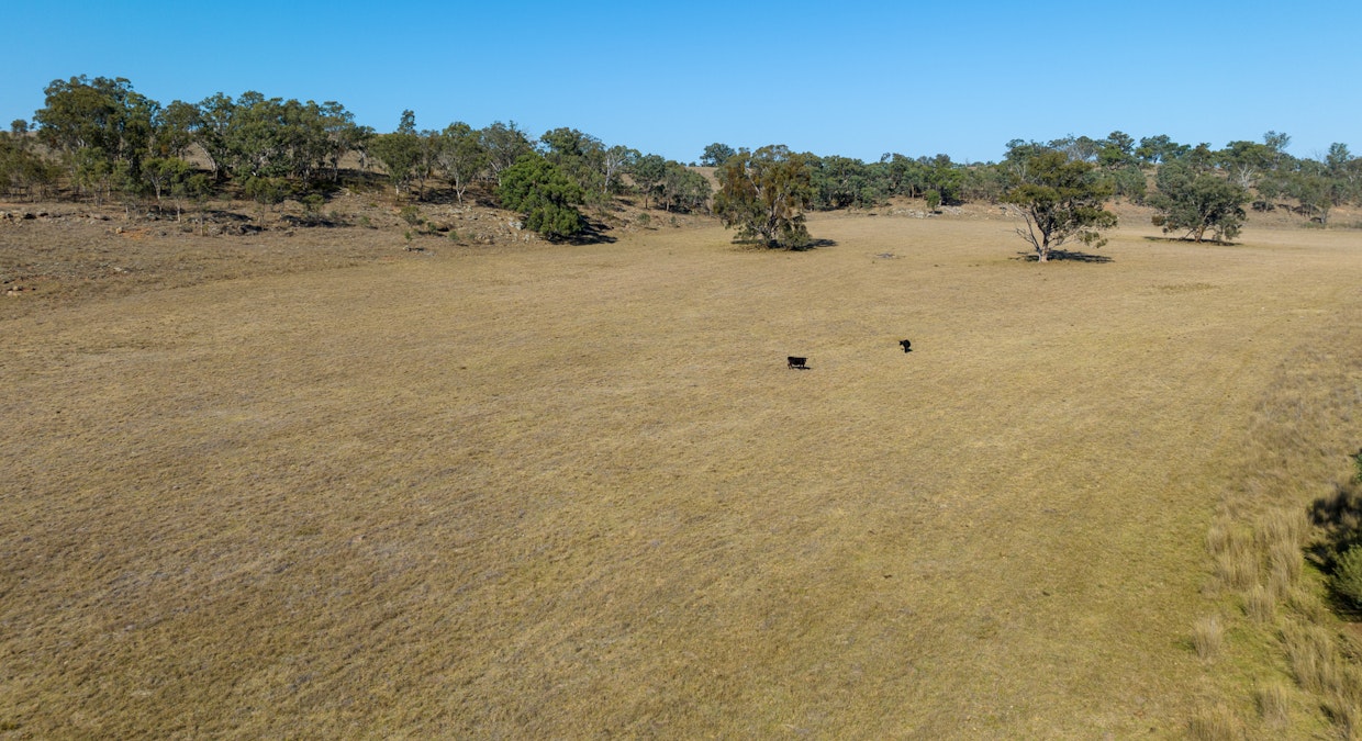‘Summer Hill & Rosedale’ Aggregation, Summerhill Road, Cassilis, NSW, 2329 - Image 28