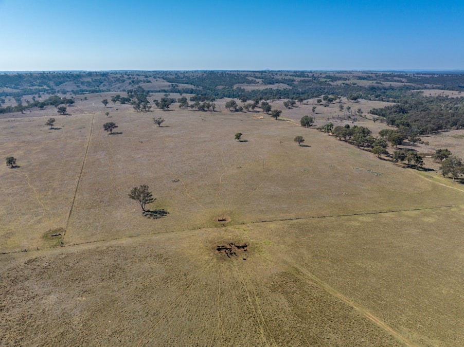 ‘Summer Hill & Rosedale’ Aggregation, Summerhill Road, Cassilis, NSW, 2329 - Image 31