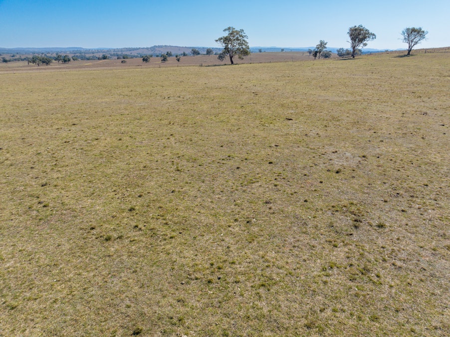 ‘Summer Hill & Rosedale’ Aggregation, Summerhill Road, Cassilis, NSW, 2329 - Image 30
