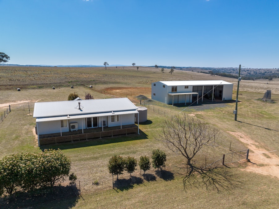 ‘Summer Hill & Rosedale’ Aggregation, Summerhill Road, Cassilis, NSW, 2329 - Image 25