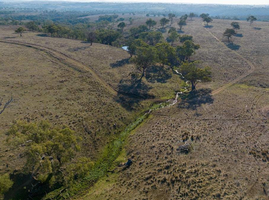 ‘Summer Hill & Rosedale’ Aggregation, Summerhill Road, Cassilis, NSW, 2329 - Image 22