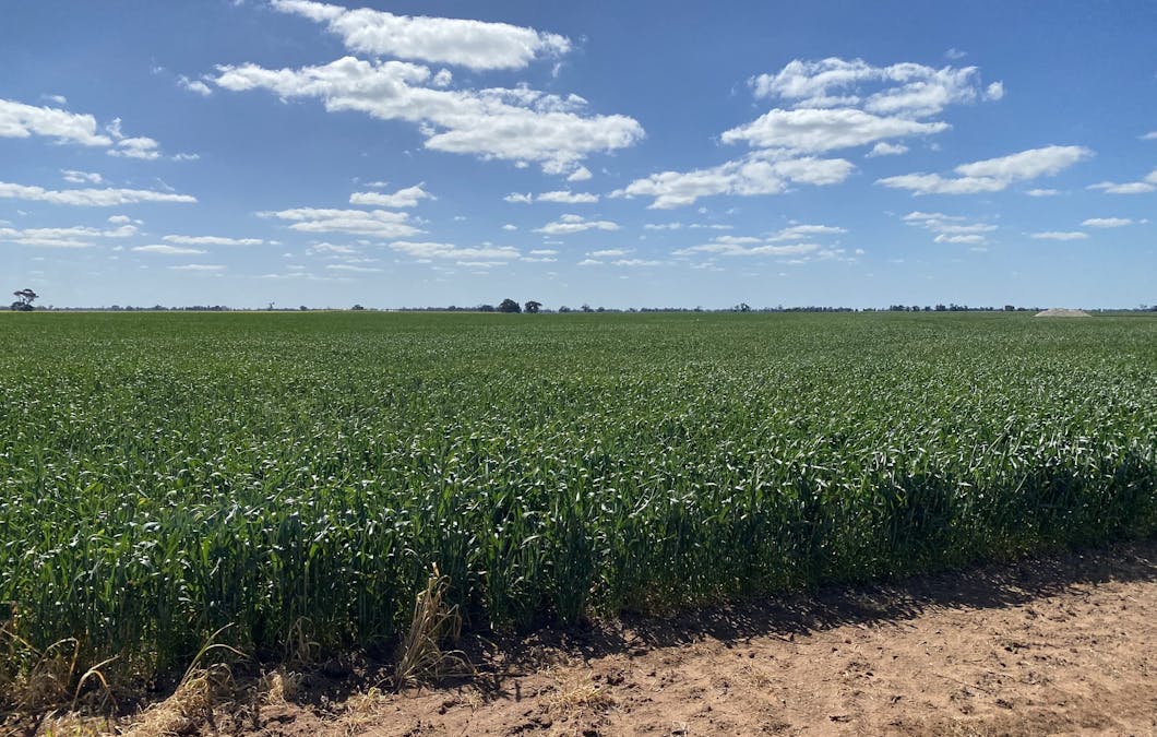 Walkers Road, Boolite, VIC, 3392 - Image 4