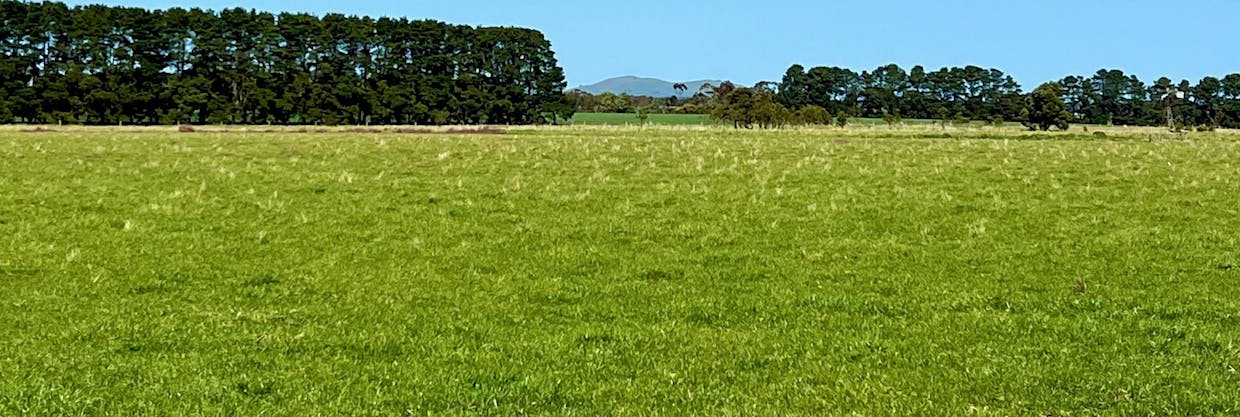 Dales Lane, Mortlake, VIC, 3272 - Image 6