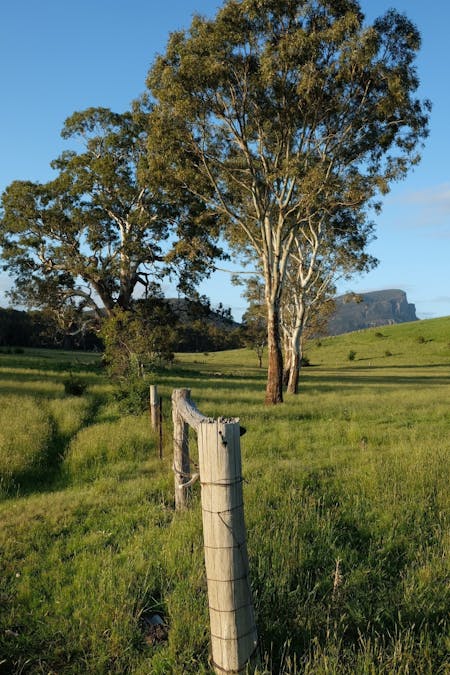 129  Fairburn Street, Dunkeld, VIC, 3294 - Image 18