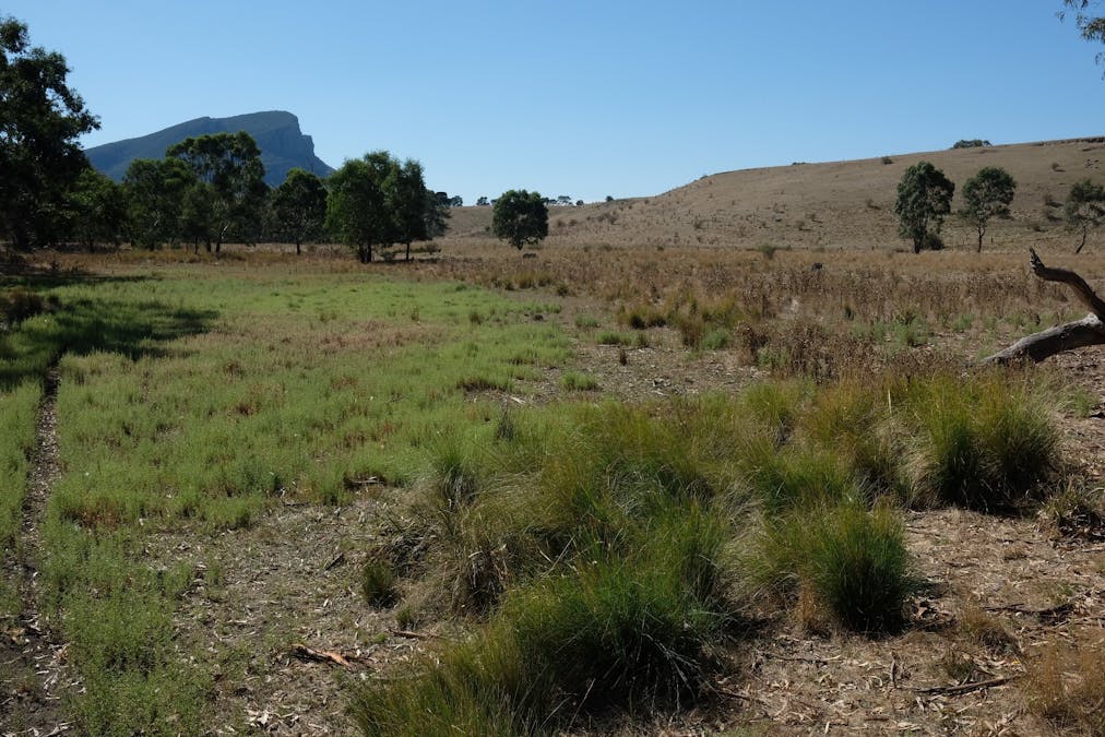 129  Fairburn Street, Dunkeld, VIC, 3294 - Image 19