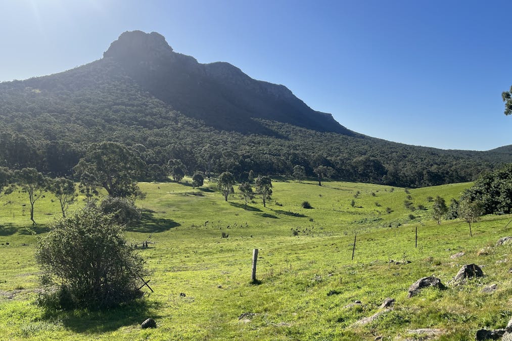 129  Fairburn Street, Dunkeld, VIC, 3294 - Image 9