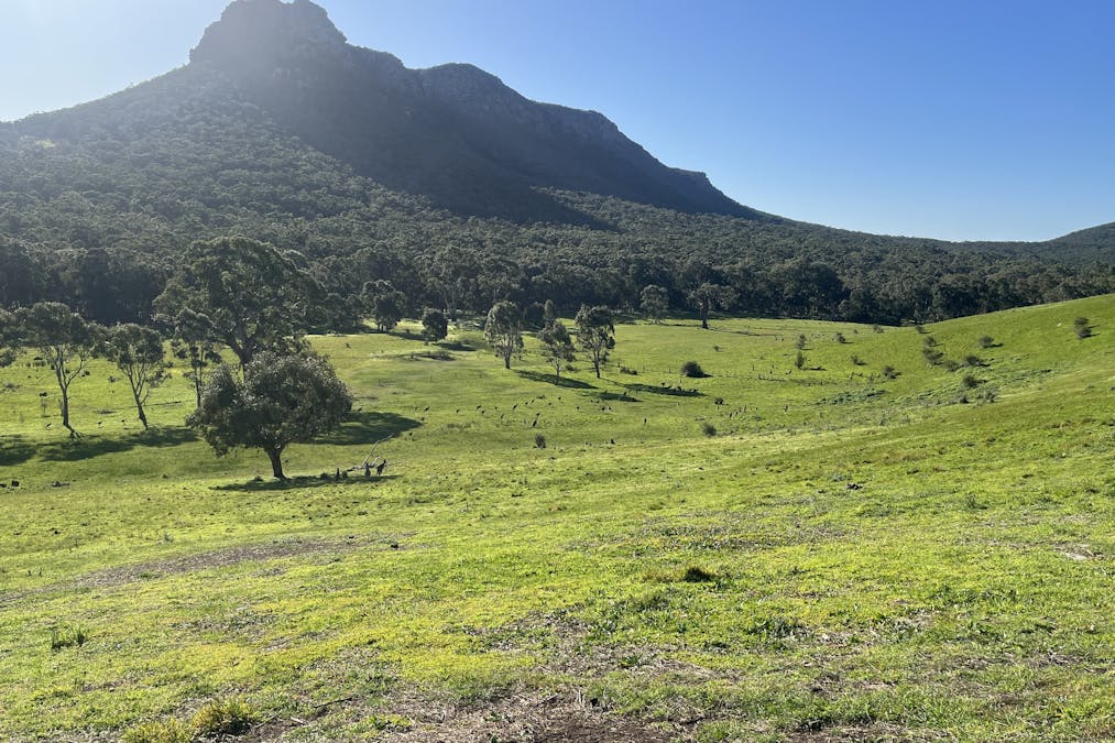129  Fairburn Street, Dunkeld, VIC, 3294 - Image 10