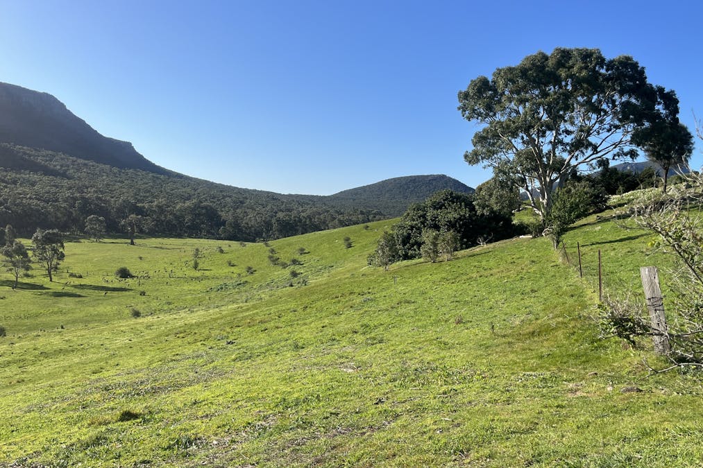 129  Fairburn Street, Dunkeld, VIC, 3294 - Image 12