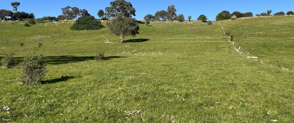 129  Fairburn Street, Dunkeld, VIC, 3294 - Image 13
