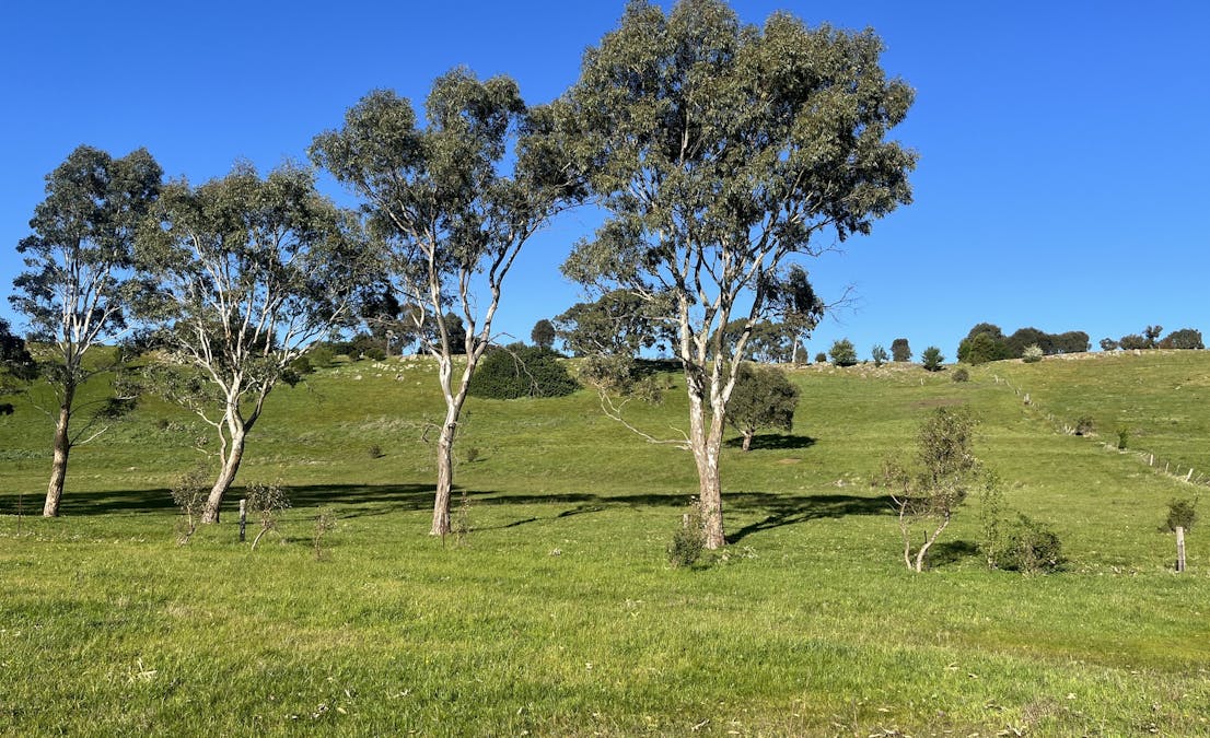129  Fairburn Street, Dunkeld, VIC, 3294 - Image 14
