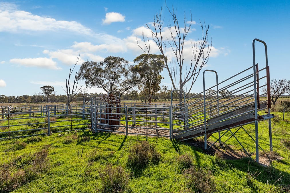 118 Stony Crossing Road, Murray Downs, NSW, 2734 - Image 16