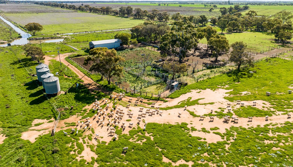 118 Stony Crossing Road, Murray Downs, NSW, 2734 - Image 5
