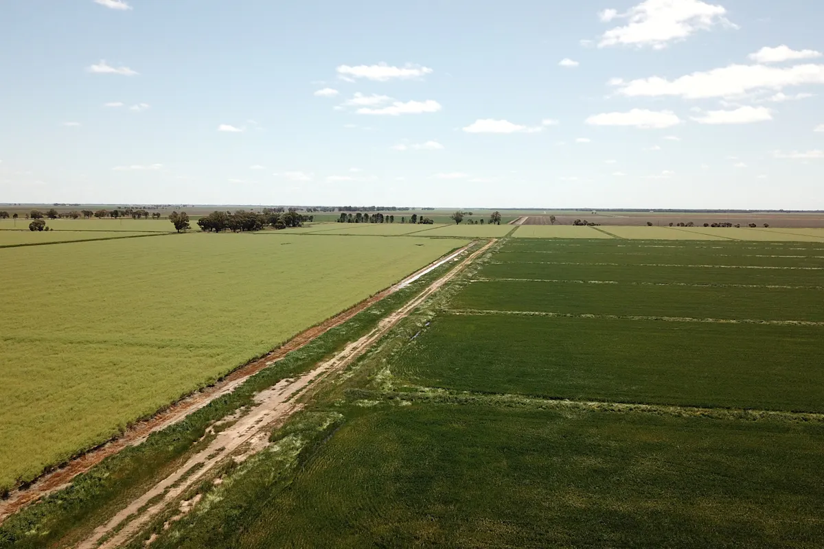 308 Broughshane Lane, Jerilderie, NSW, 2716 For Sale Elders Real Estate