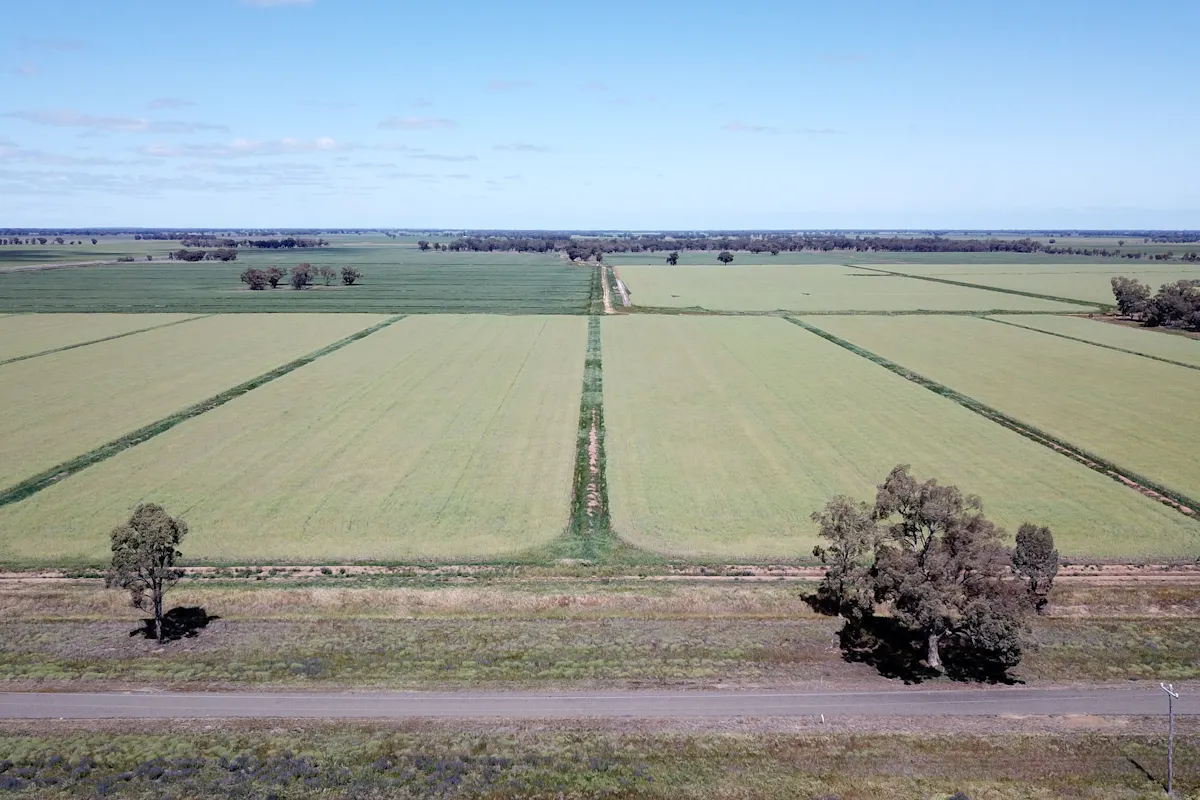 308 Broughshane Lane, Jerilderie, NSW, 2716 For Sale Elders Real Estate