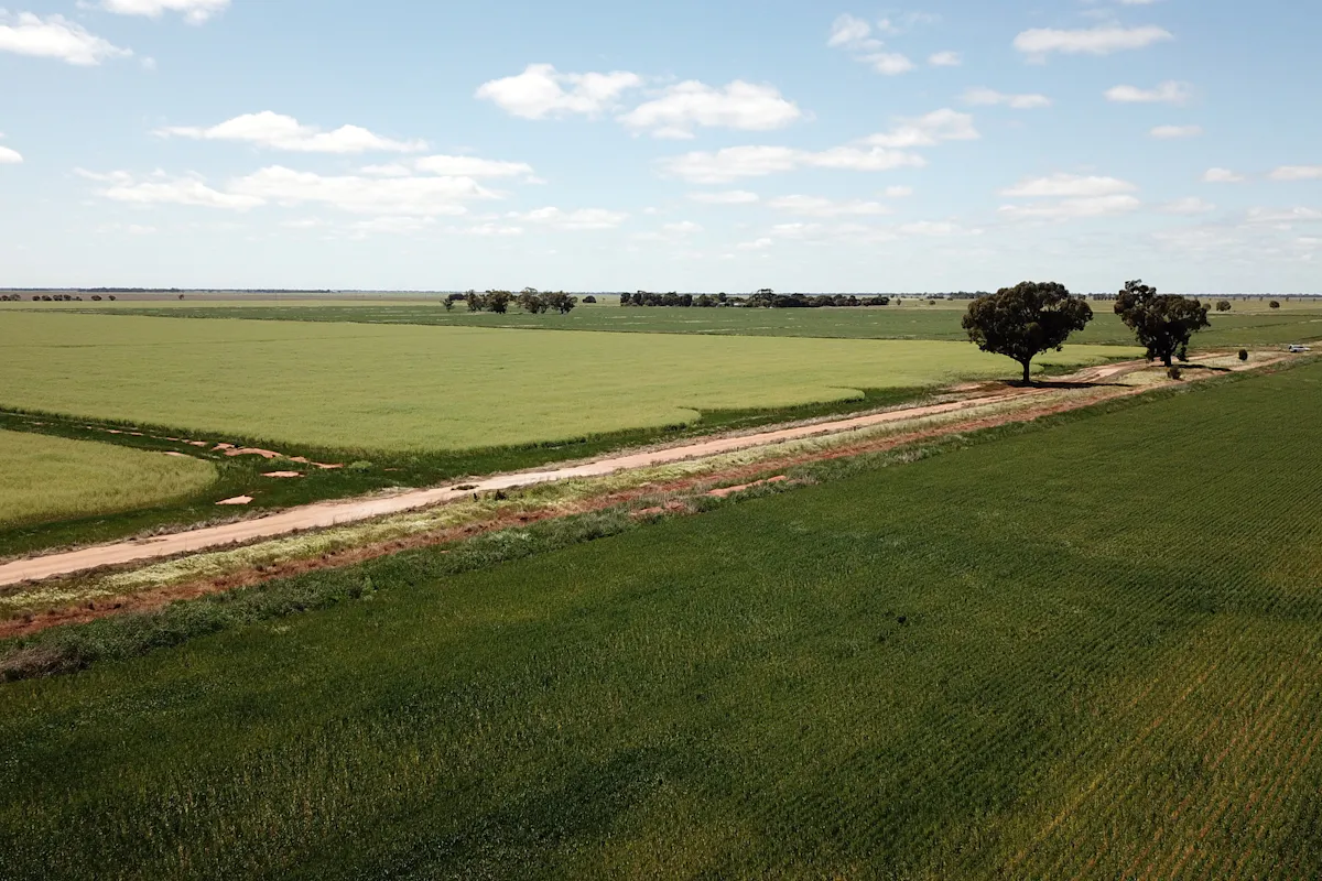 308 Broughshane Lane, Jerilderie, NSW, 2716 For Sale Elders Real Estate