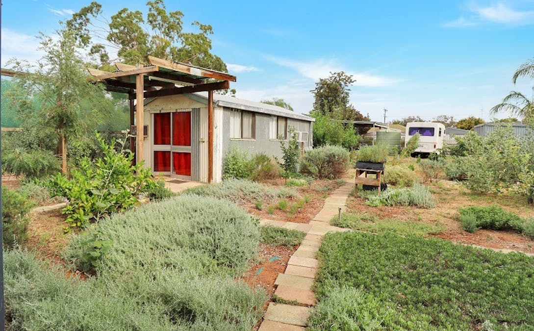31 Gilbert Street, Berri, SA, 5343 - Image 13
