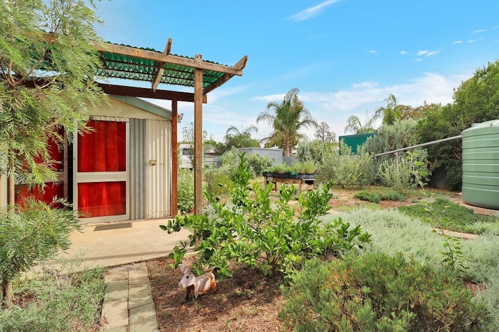 31 Gilbert Street, Berri, SA, 5343 - Image 14