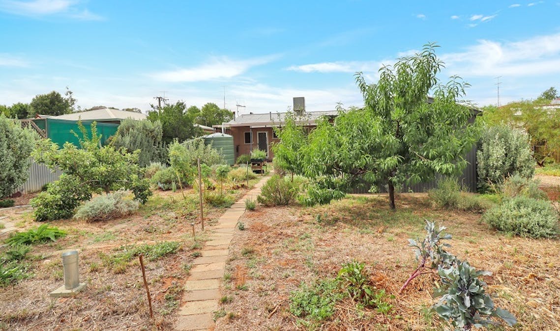 31 Gilbert Street, Berri, SA, 5343 - Image 16