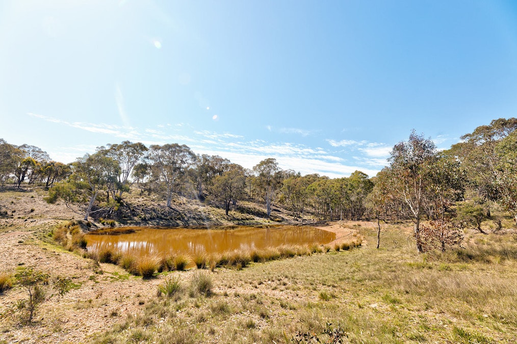 Yass River, NSW, 2582 - Image 17