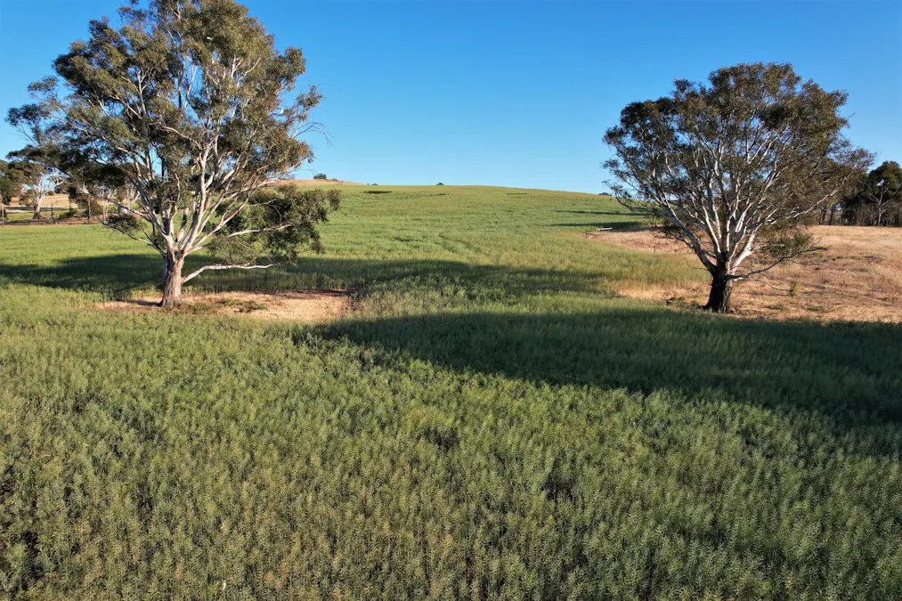 Lot 2 Gap Road, Milendella, SA, 5237 - Image 3