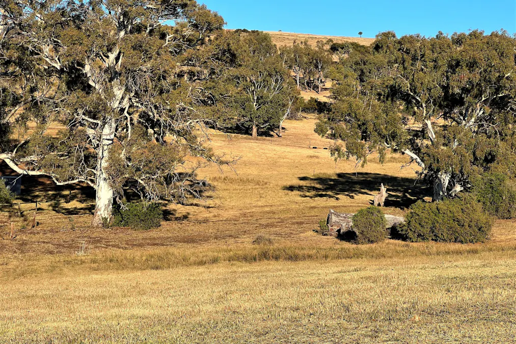 Lot 2 Gap Road, Milendella, SA, 5237 - Image 12