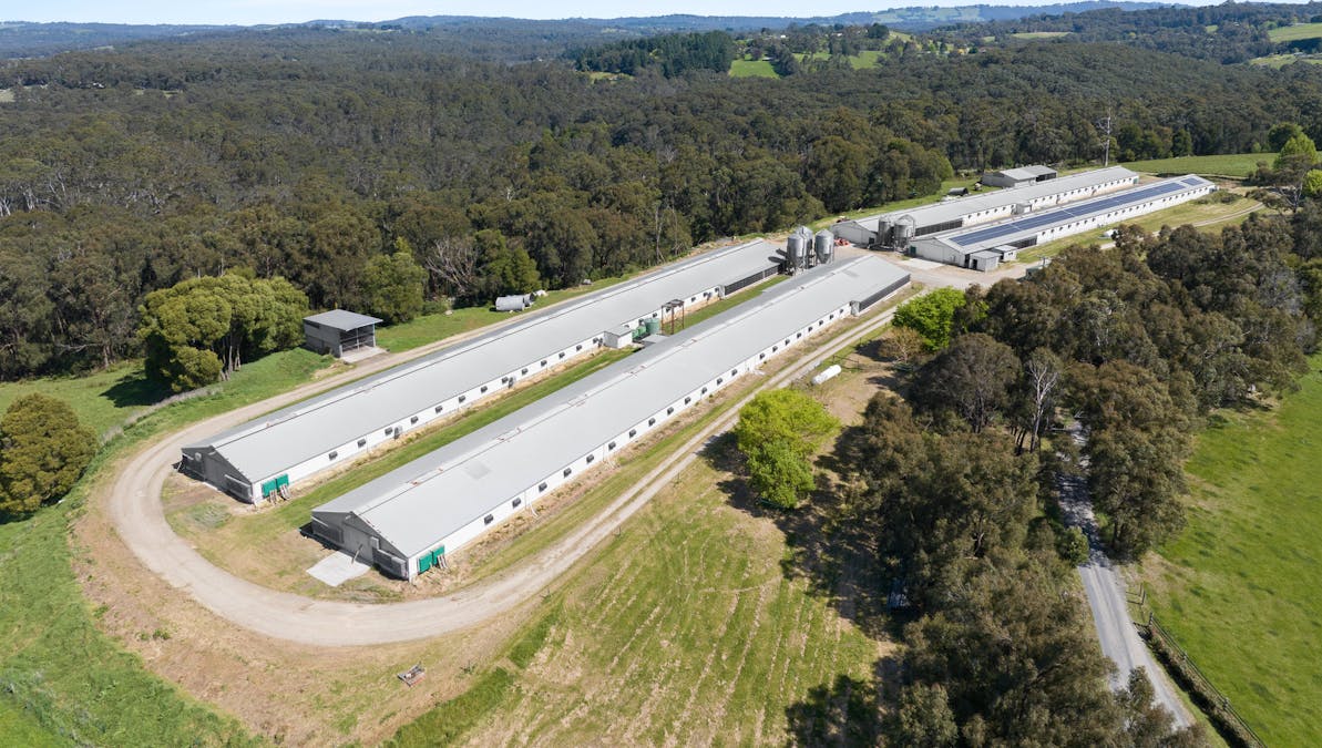 230 Holden Road, Silvan, VIC, 3795 - Image 2
