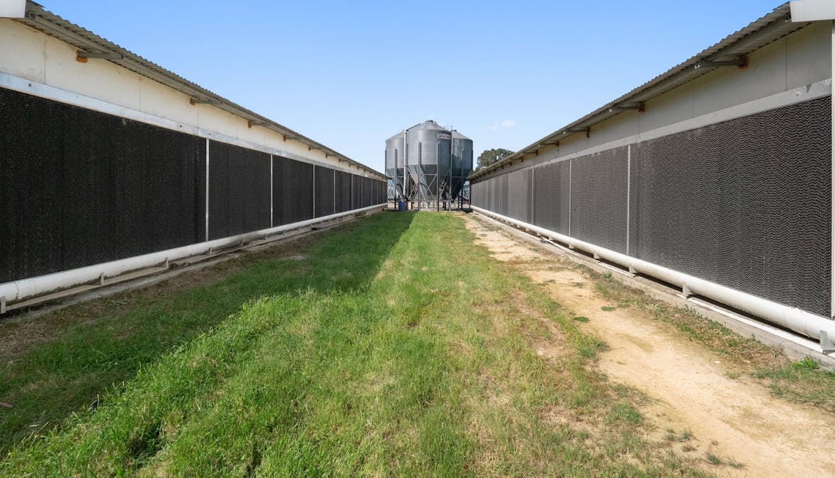 230 Holden Road, Silvan, VIC, 3795 - Image 5