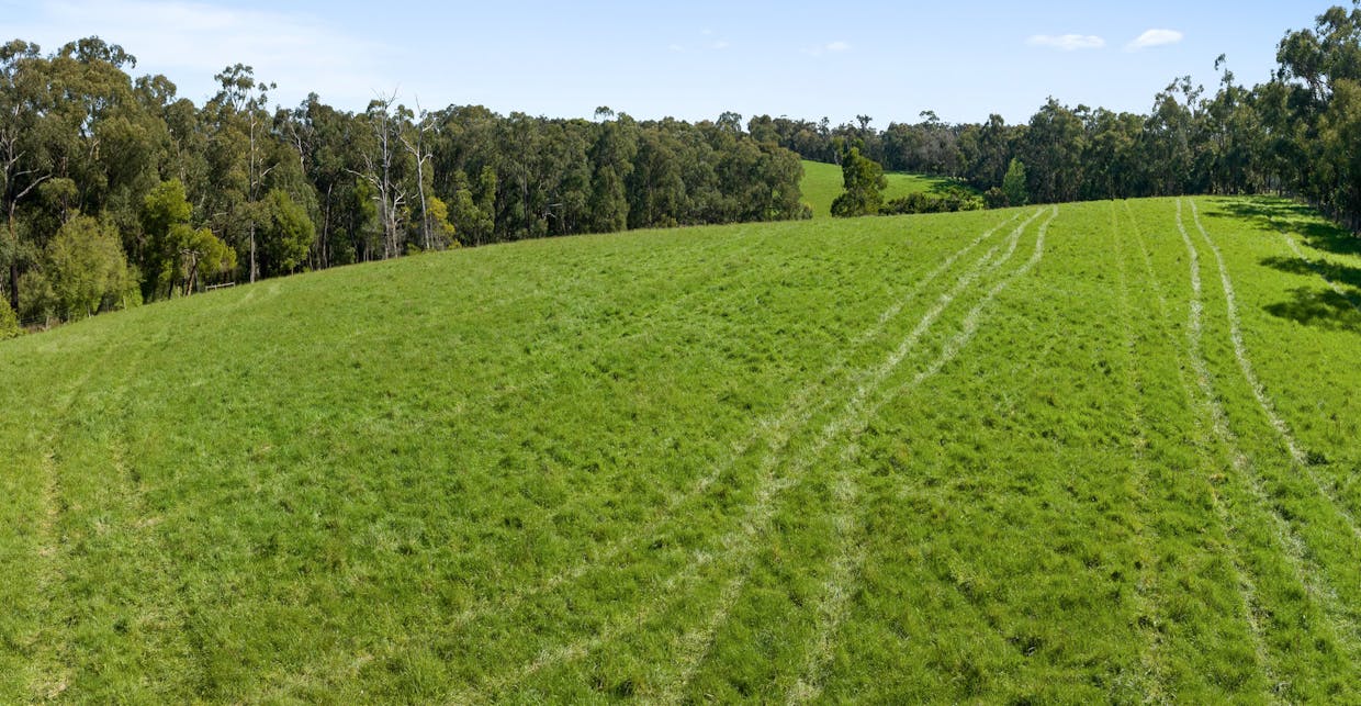 230 Holden Road, Silvan, VIC, 3795 - Image 14