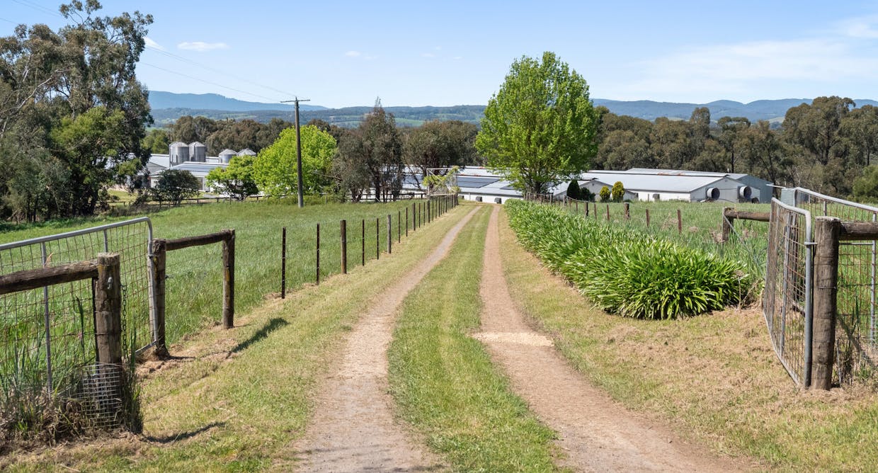 230 Holden Road, Silvan, VIC, 3795 - Image 16