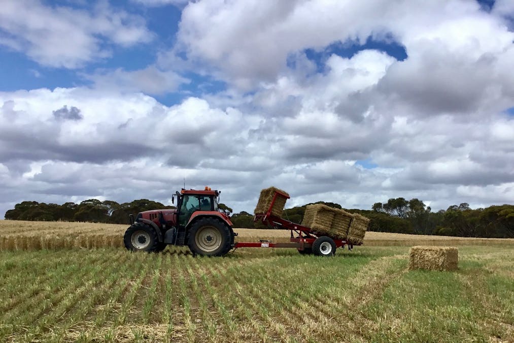 163 McAskill Road, Karkoo, SA, 5632 - Image 7