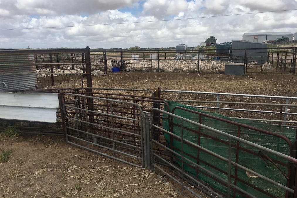 163 McAskill Road, Karkoo, SA, 5632 - Image 26