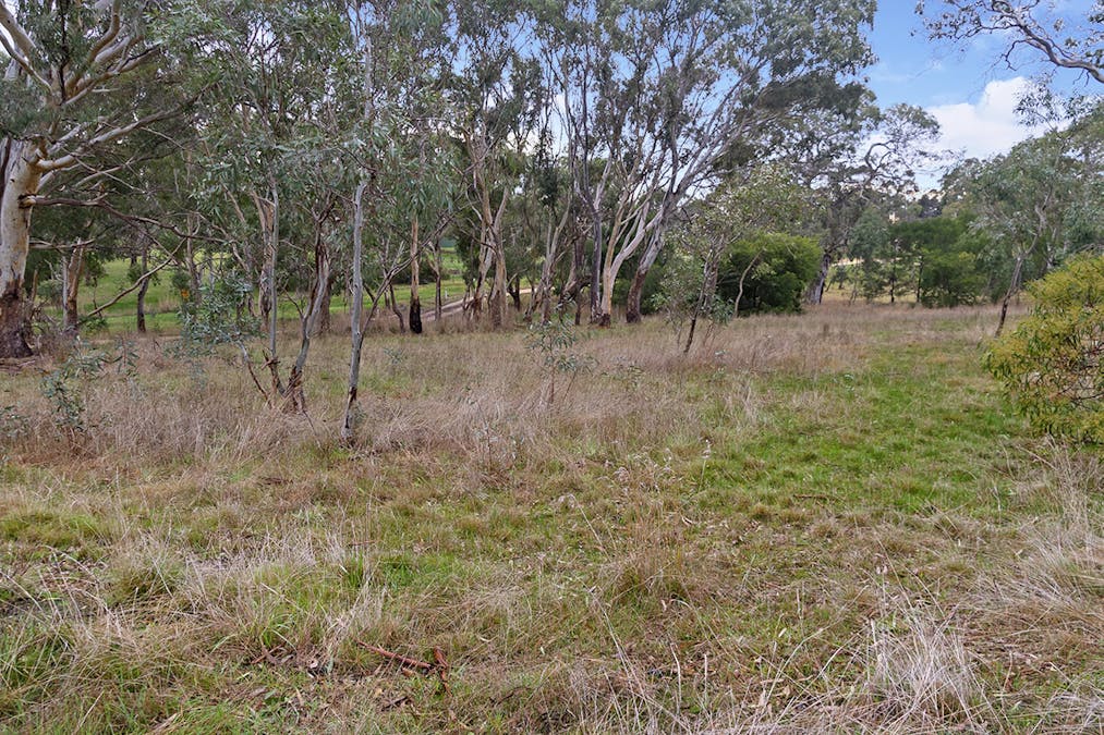 20 Ritchie Street, Dunkeld, VIC, 3294 - Image 4