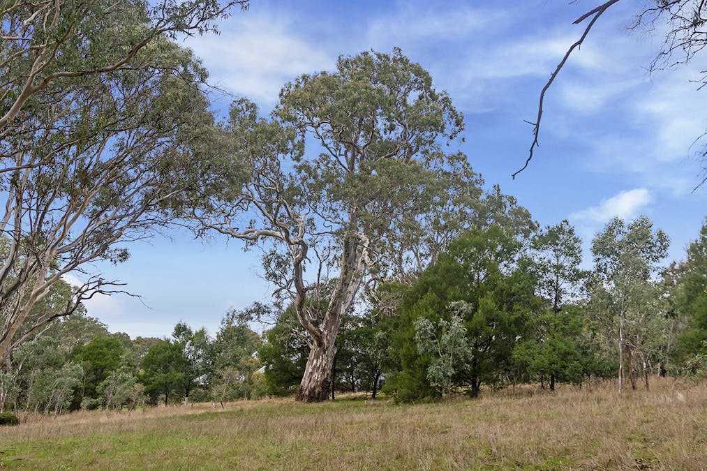 20 Ritchie Street, Dunkeld, VIC, 3294 - Image 6