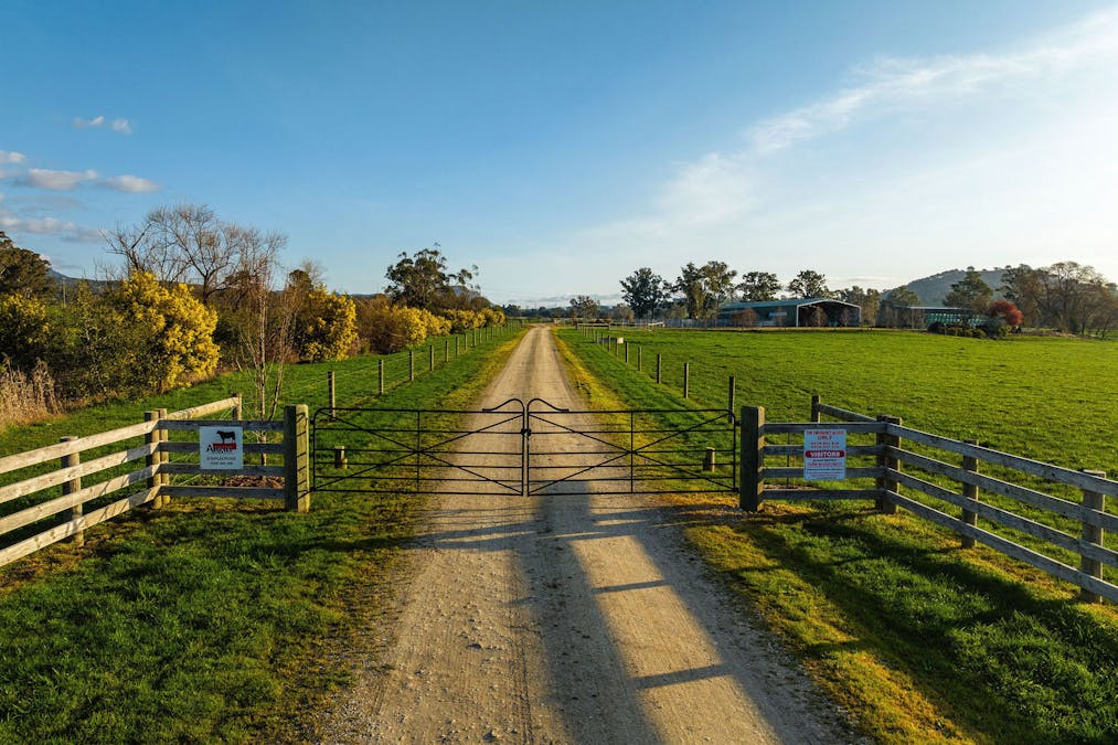 1036 Taggerty - Thornton Road, Thornton, VIC, 3712 - Image 5