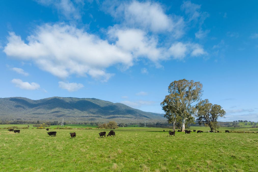 1036 Taggerty - Thornton Road, Thornton, VIC, 3712 - Image 14