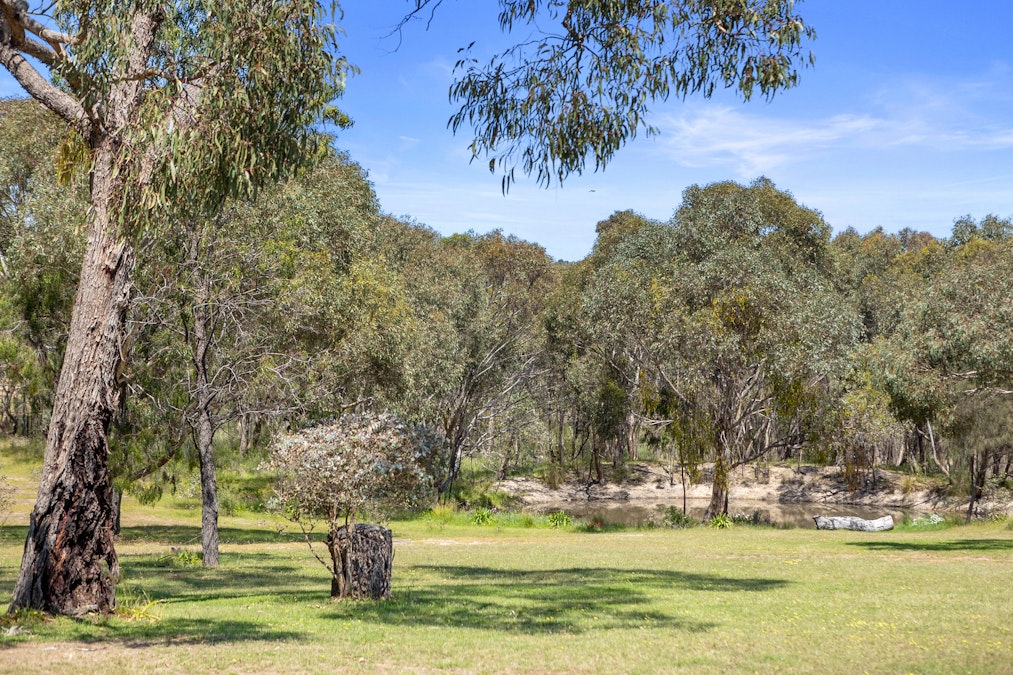 131 Griffiths Track, Mount Bruno, VIC, 3675 - Image 2