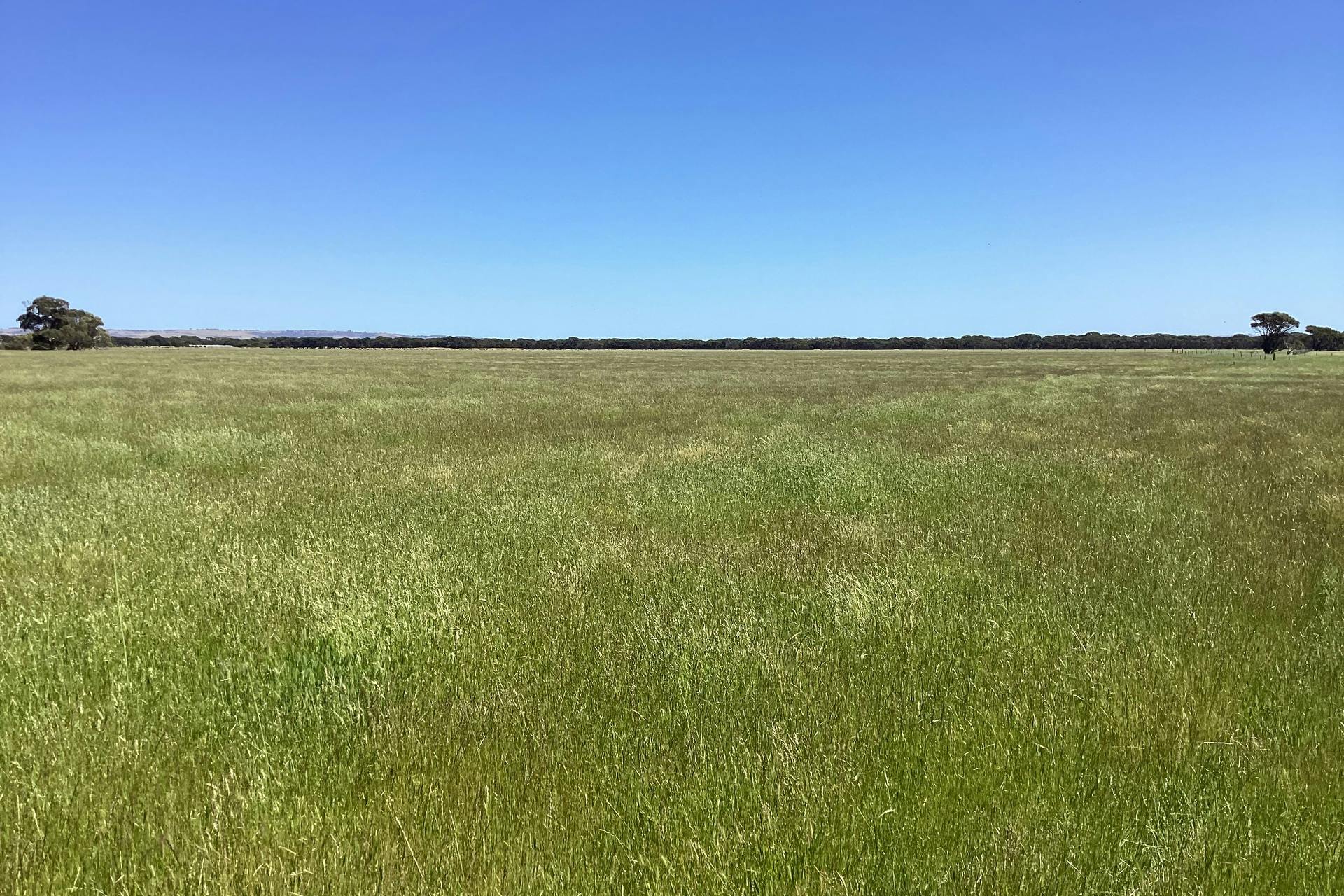 191 Arranmore Road, River, SA, 5223 For Sale Elders Real Estate