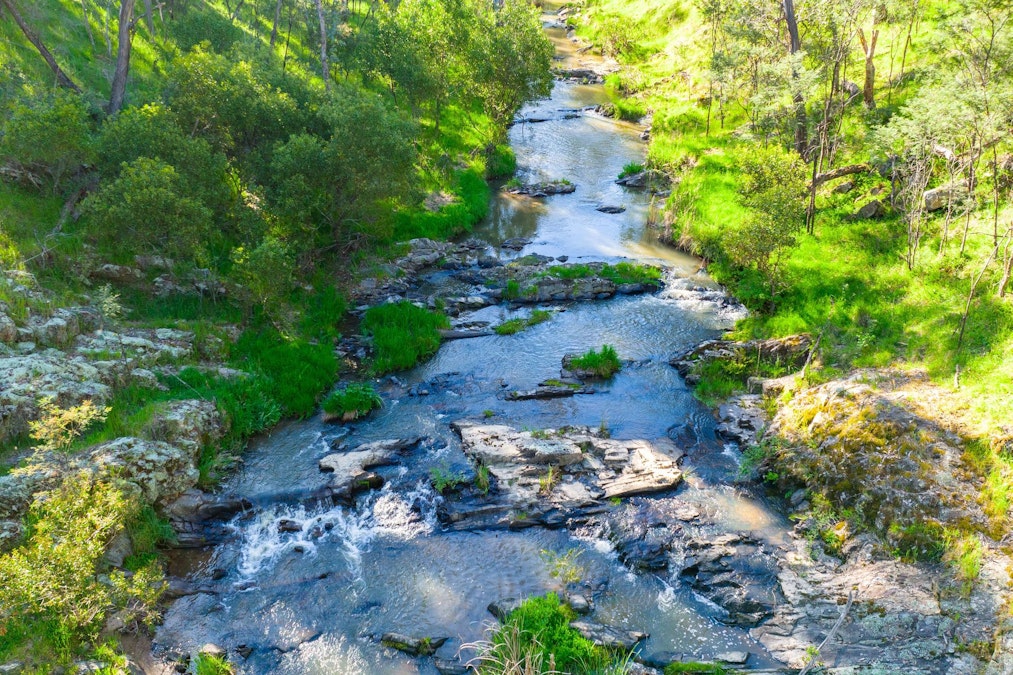 - Jingellic Road, Lankeys Creek, NSW, 2644 - Image 16