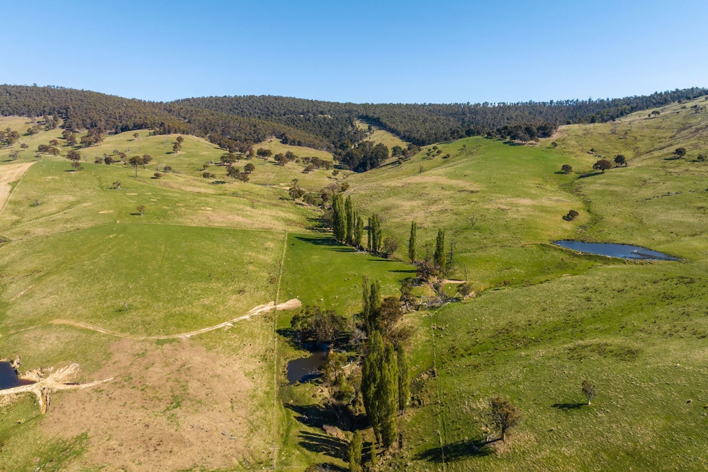 85 and 85A Tices Road, Omeo, VIC, 3898 - Image 29