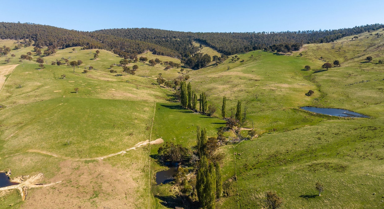 85 and 85A Tices Road, Omeo, VIC, 3898 - Image 29