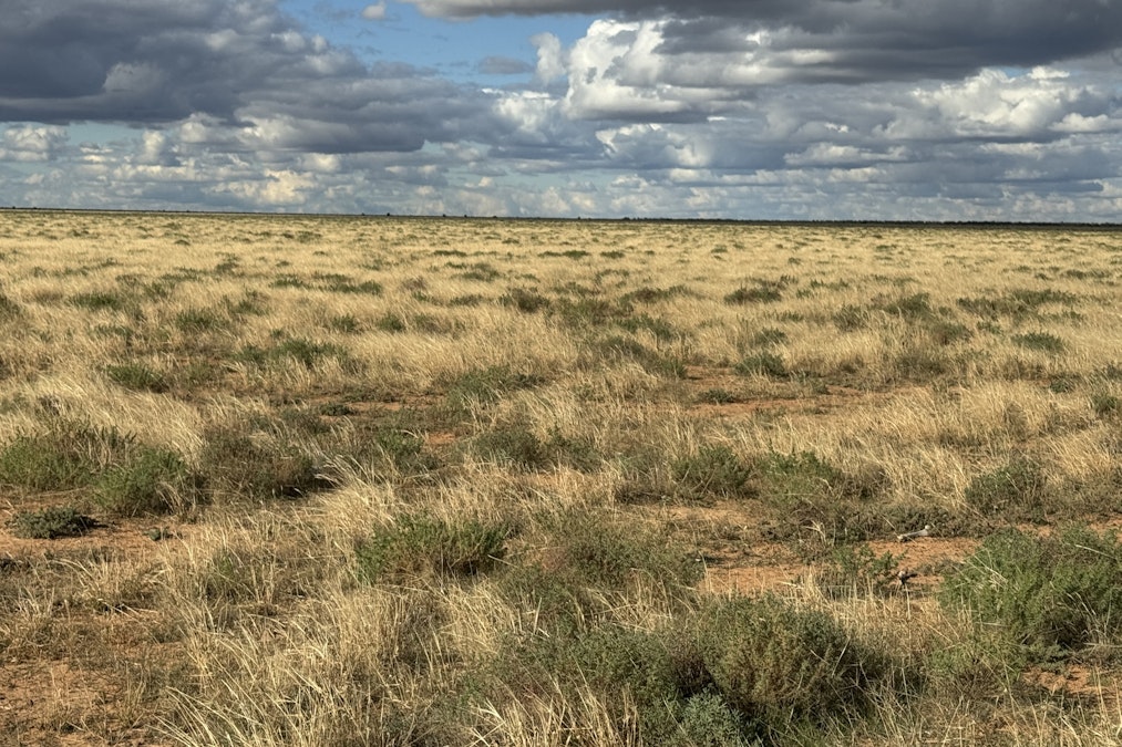 Booligal, NSW, 2711 - Image 17