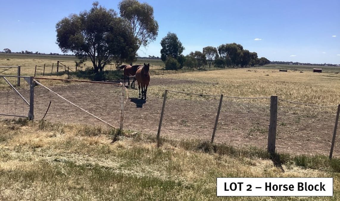 Newell Highway, Jerilderie, NSW, 2716 - Image 11