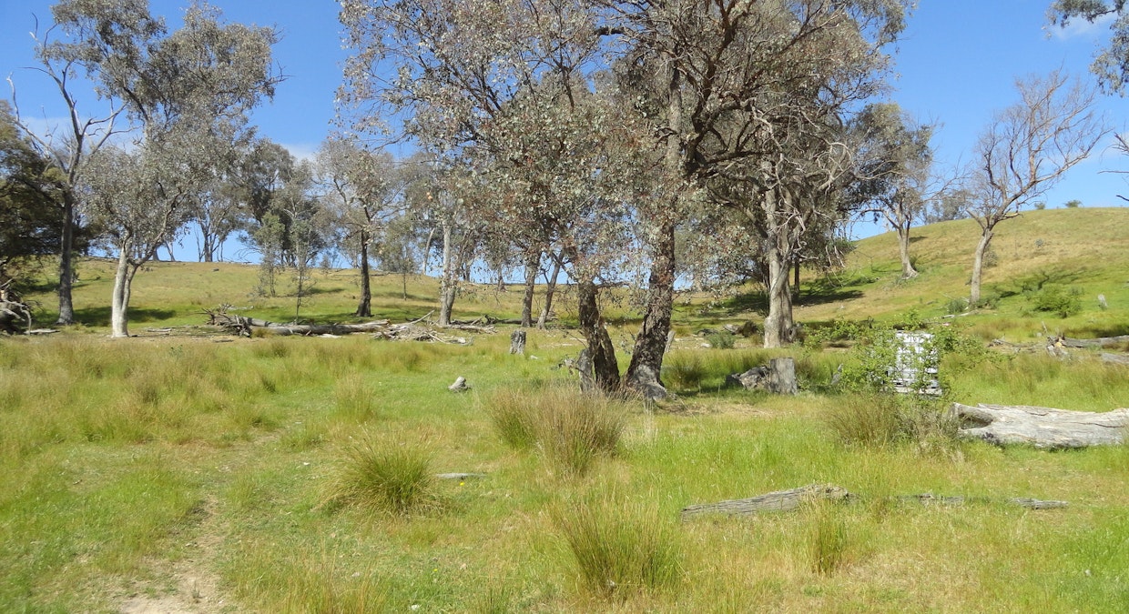 175 Tinmines Road, Mullengandra, NSW, 2644 - Image 6
